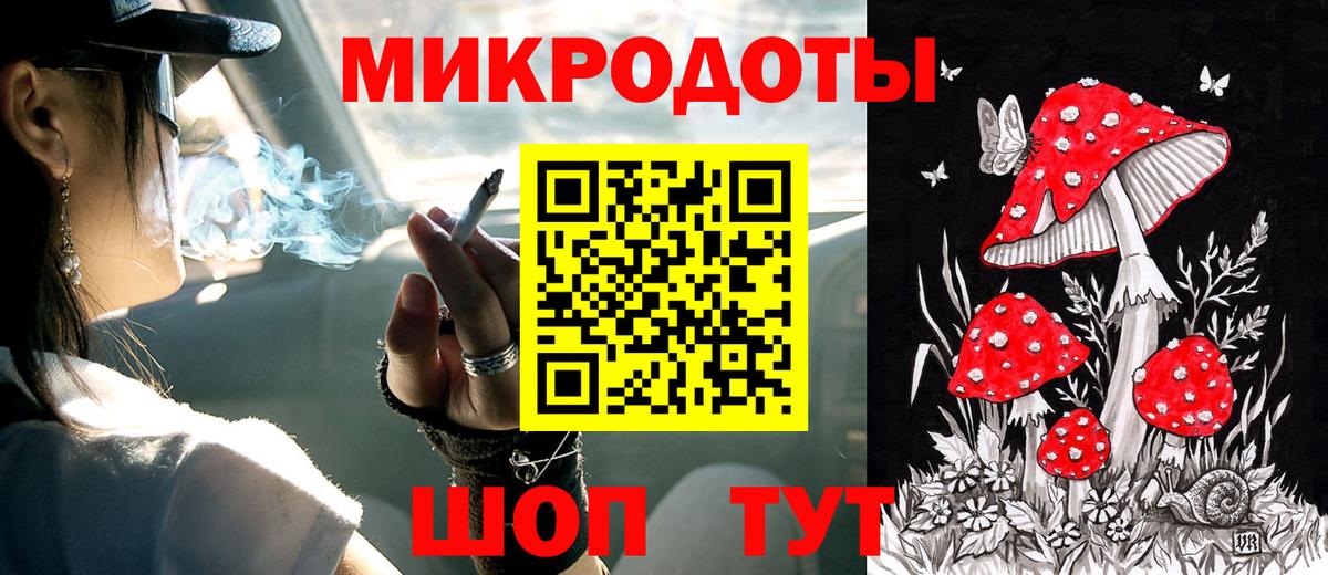 Псилоцибиновые грибы Cubensis Уссурийск