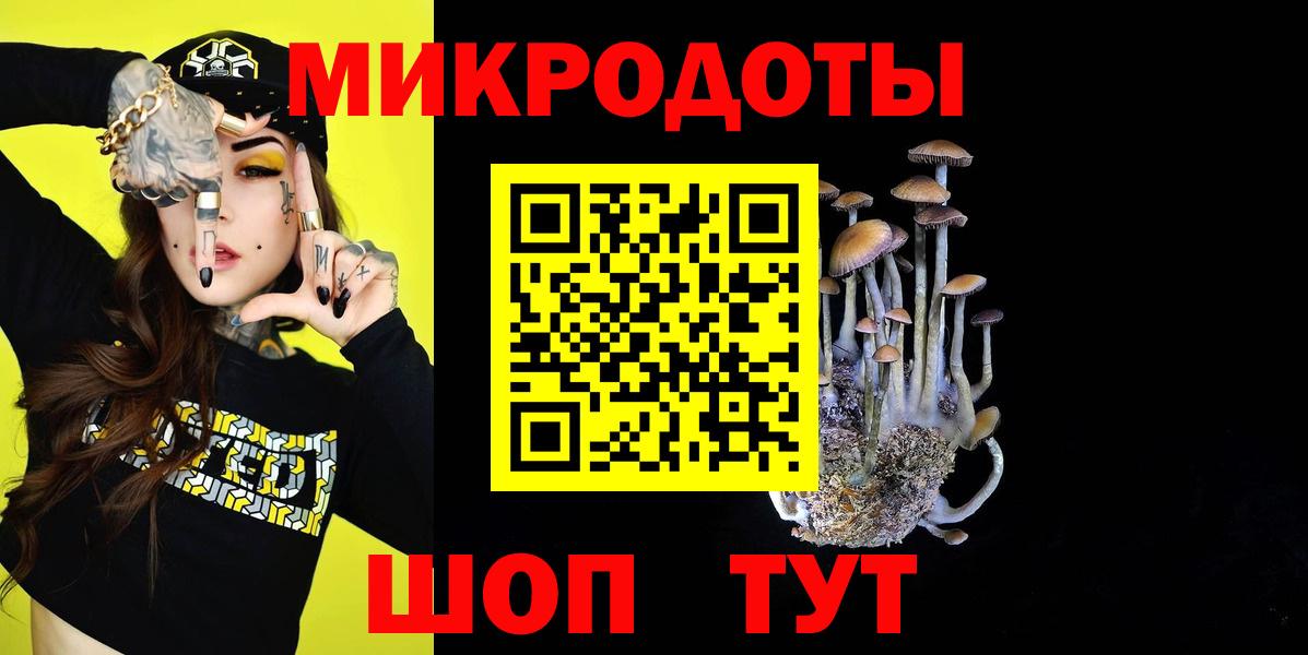 Уссурийск  Псилоцибиновые грибы Psilocybine cubensis  Вход с VPN  Галлюциногенные грибы мицелий 